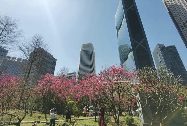 城市会客厅广州,广州城市会客厅