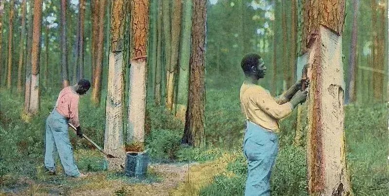 创美致简健康板BORONO柏牙诺强势推出，无毒无味F4星环保更受关注