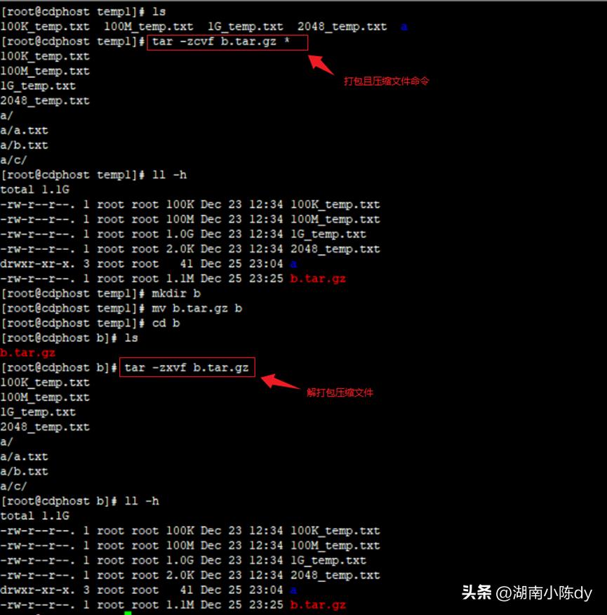 100个常用linux命令,linux常用监控命令详解