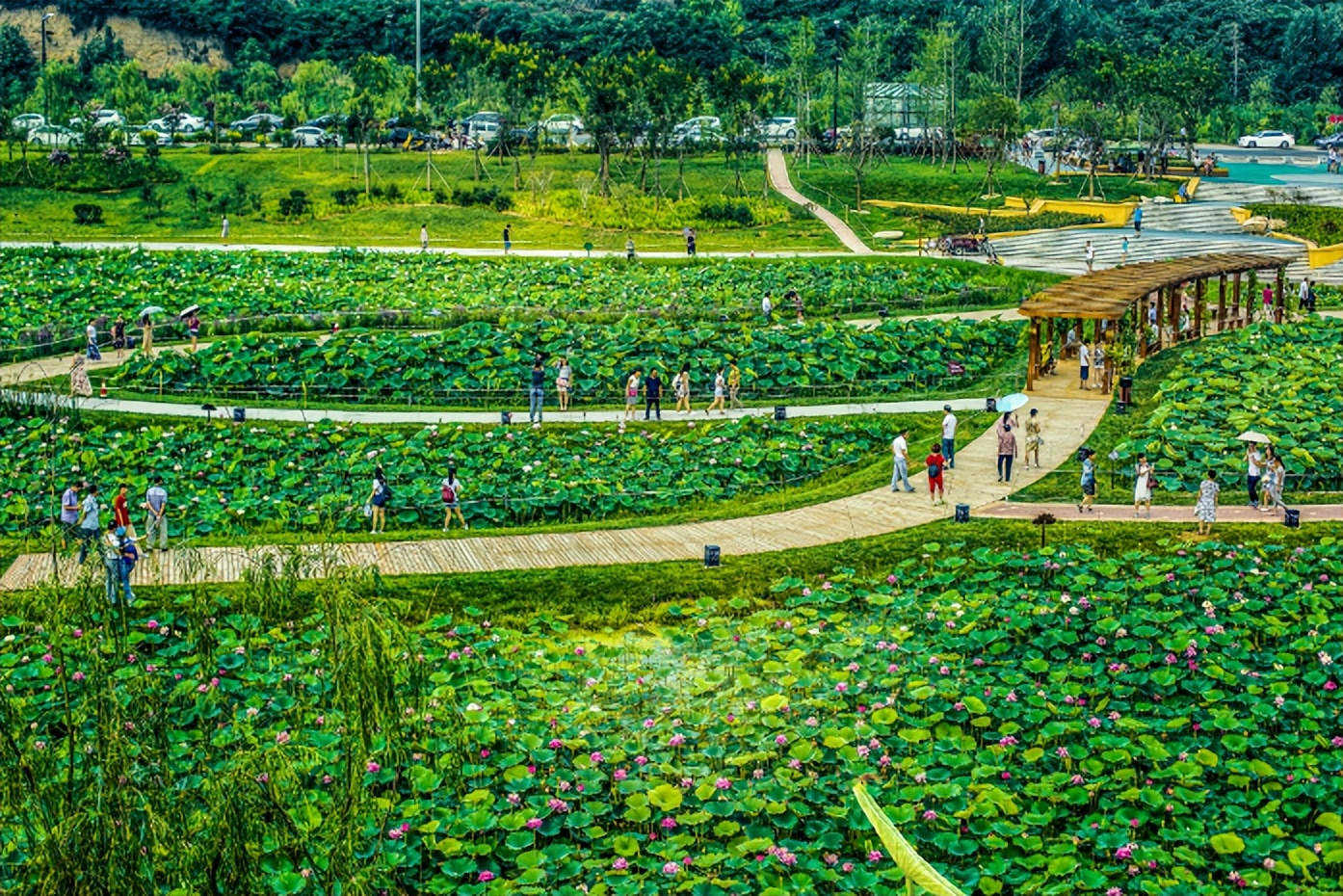 夏天游玩路线,夏天旅游最佳路线推荐