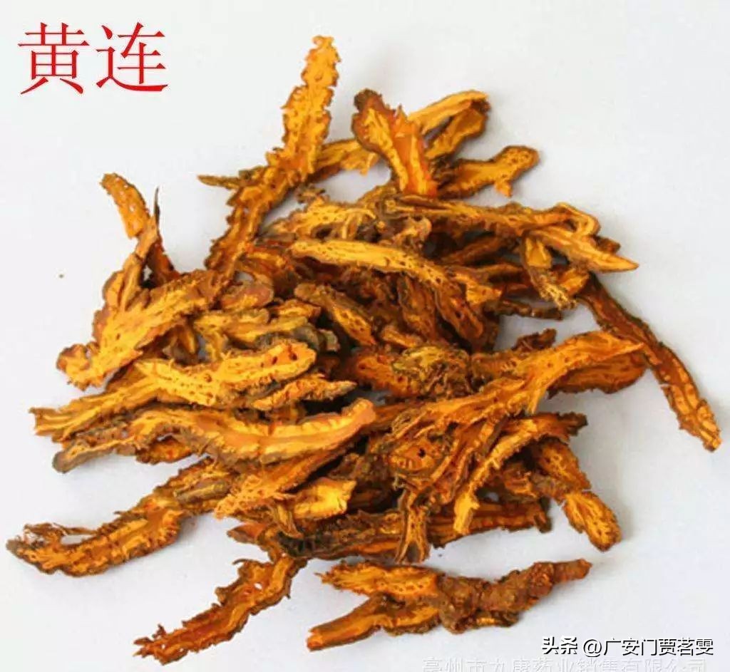 中成药治疗湿热下注导致肛周潮湿,中医治疗湿热下注处方