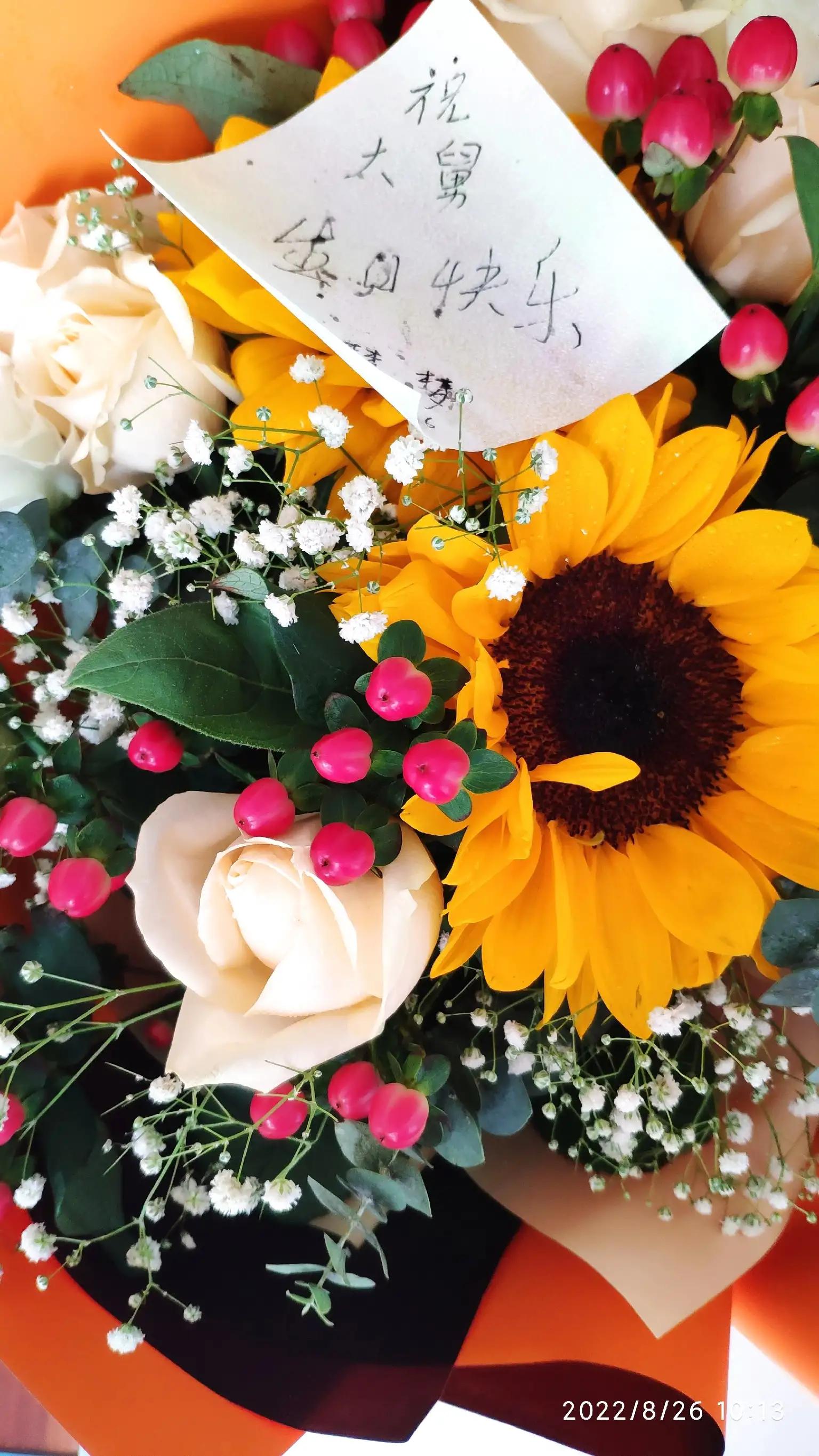 卜算子六十六岁感怀,六十六岁感怀