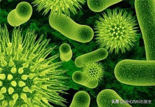 女子腹泻5个月,辗转4家医院,全院大会诊误诊,主任:馒头病