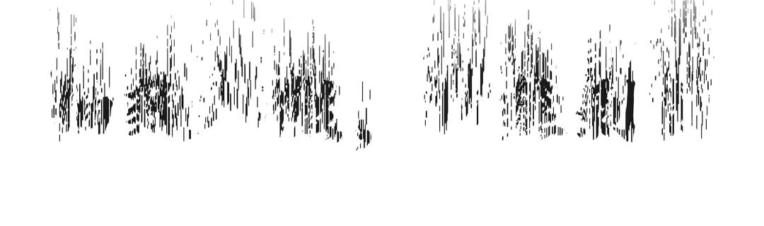 钟葵、钟葵、钟奎都是一个人，揭开钟馗的真面目，历史上确有其人