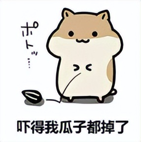 爱宠寄养时死亡，宠物店“狸猫换太子”，法院判赔精神损害