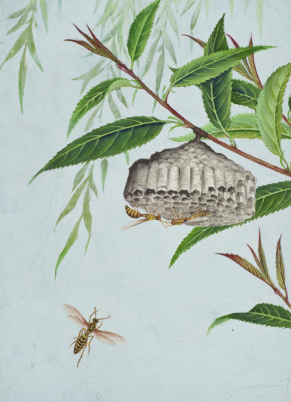 太原市迎泽区：区科技局联合区委宣传部、区科协和迎泽街道共同举办中草药图谱线上展览（动物篇）