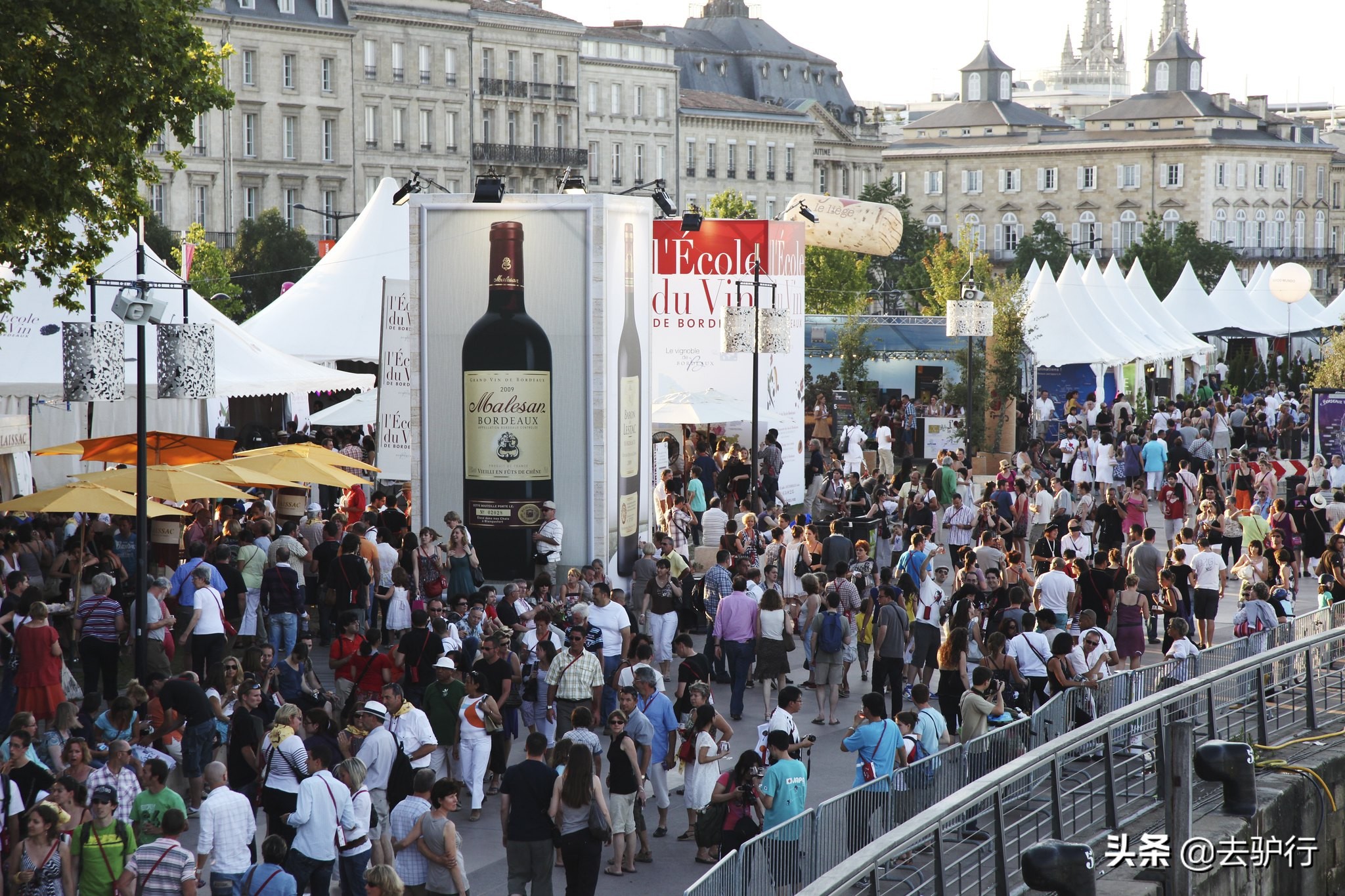 智利和法国的红酒有什么区别,智利的红酒有哪些值得买