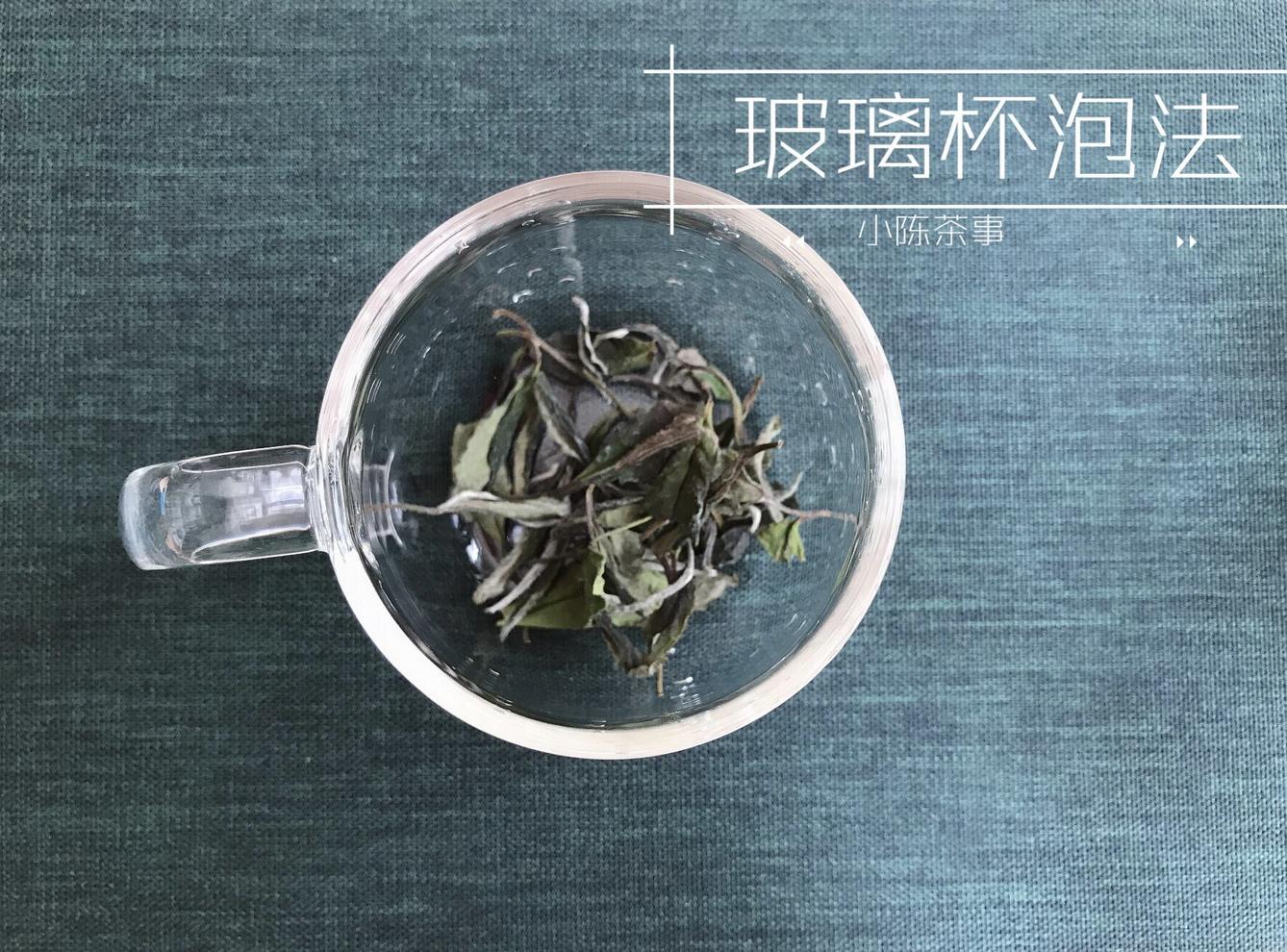 白茶的正确冲泡方法保温杯,玻璃杯白茶的正确冲泡方法