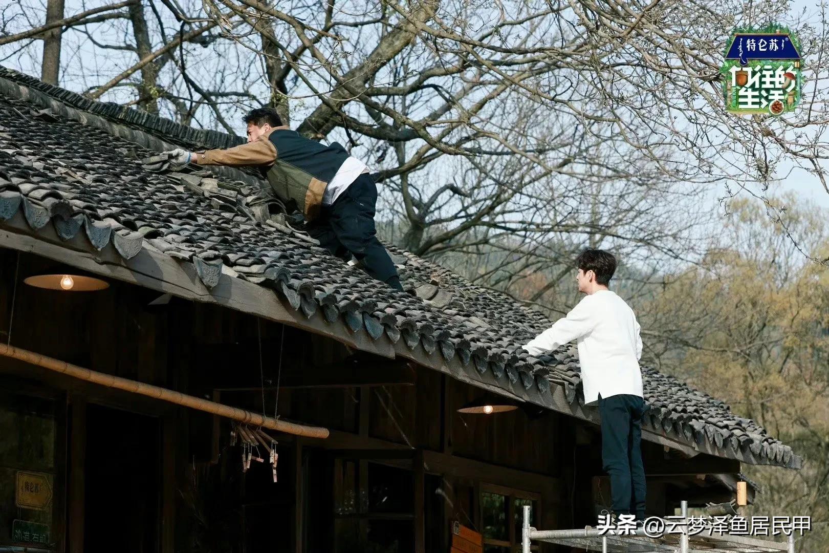 向往的生活不拍第8季了吗,向往的生活狗子们去哪了