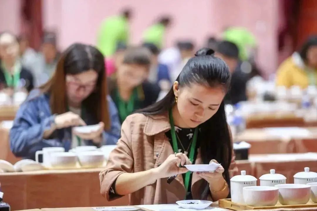 浅谈大益茶文化,大益茶文化讲解