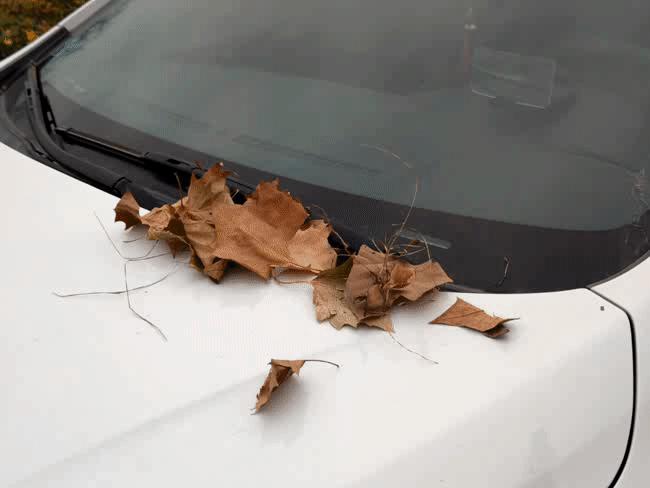 十款汽车清洁好物洗车机,哪款洗车清洗机好