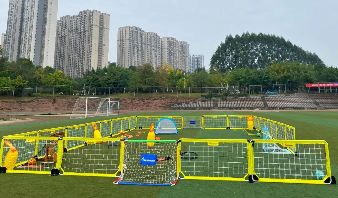 派迪茵体育股份有限公司,派迪茵体育广州