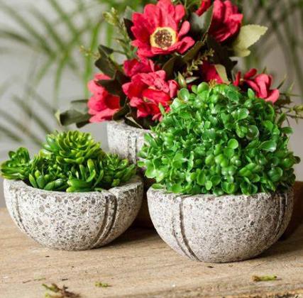 最漂亮的石头花盆,奇形怪异石头花盆