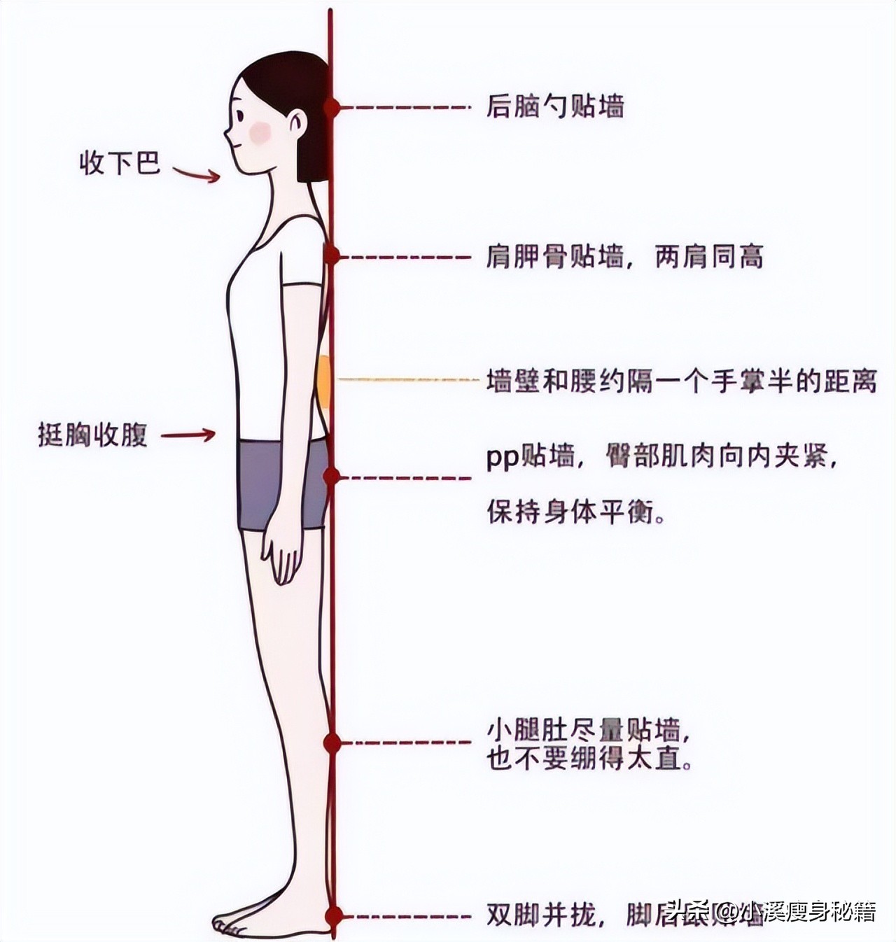 中年腰臀变胖的原因,五十几岁腰臀肥胖怎么减