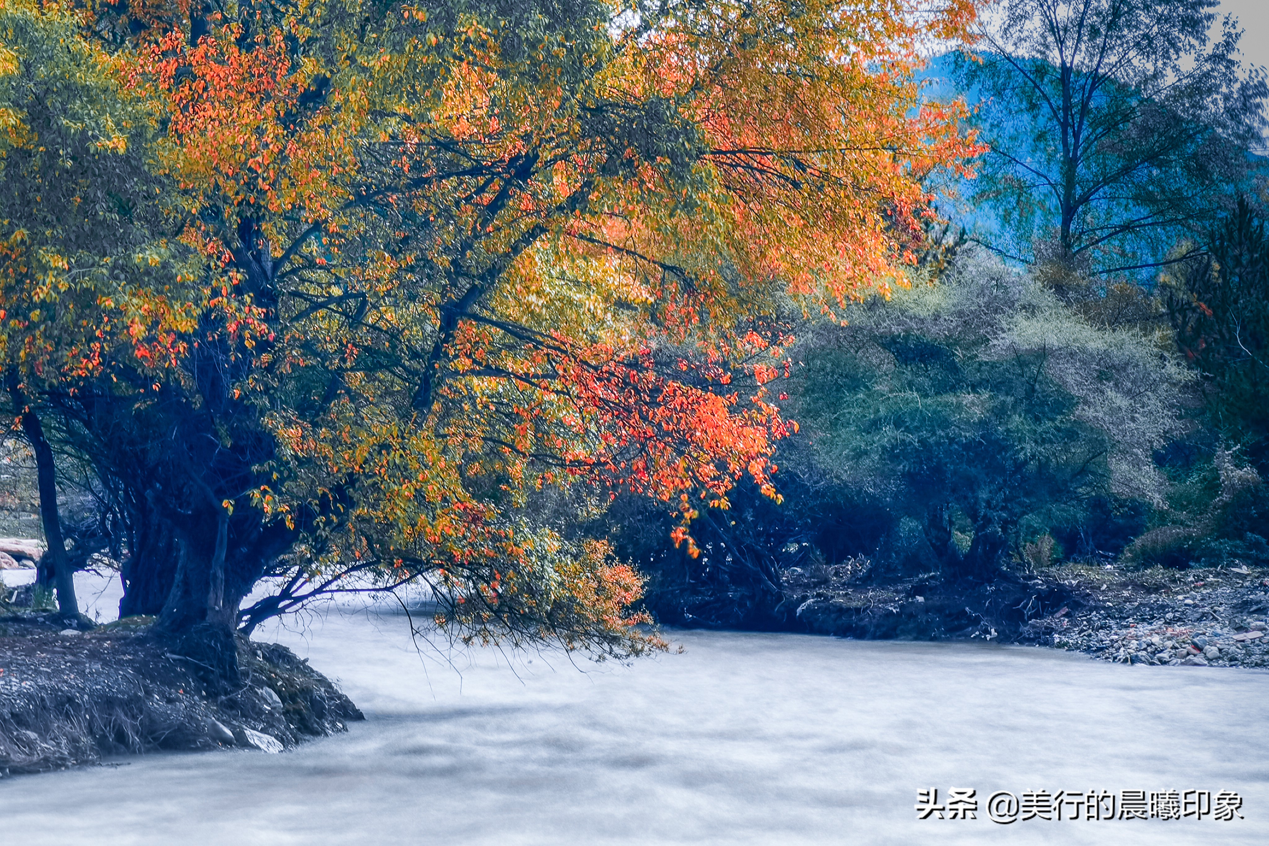 西部自驾三十三天(三十四)——川西高原的绿洲,若尔盖草原