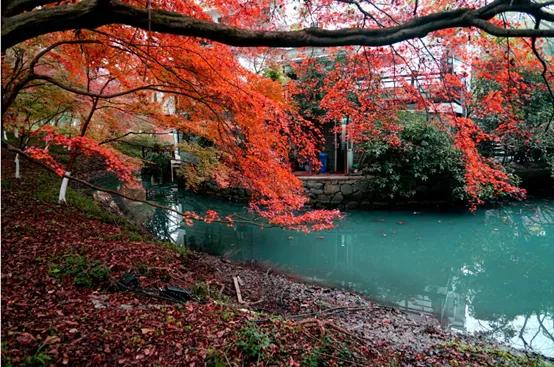晚上杭州最值得去的五个景点,杭州名胜古迹旅游景点有哪些