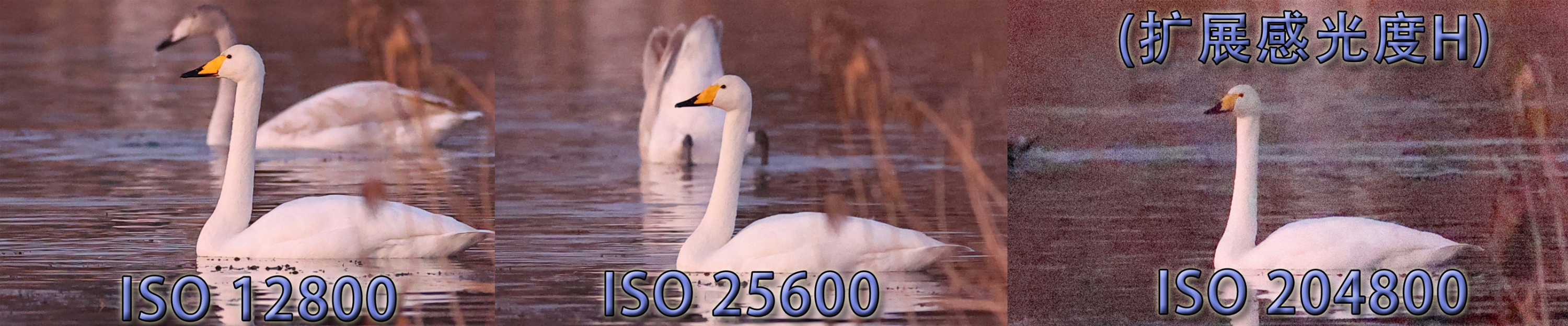 佳能canoneosr3测评,佳能eosr3震撼登场