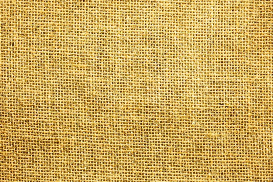 苎麻草,苎麻属于哪类草