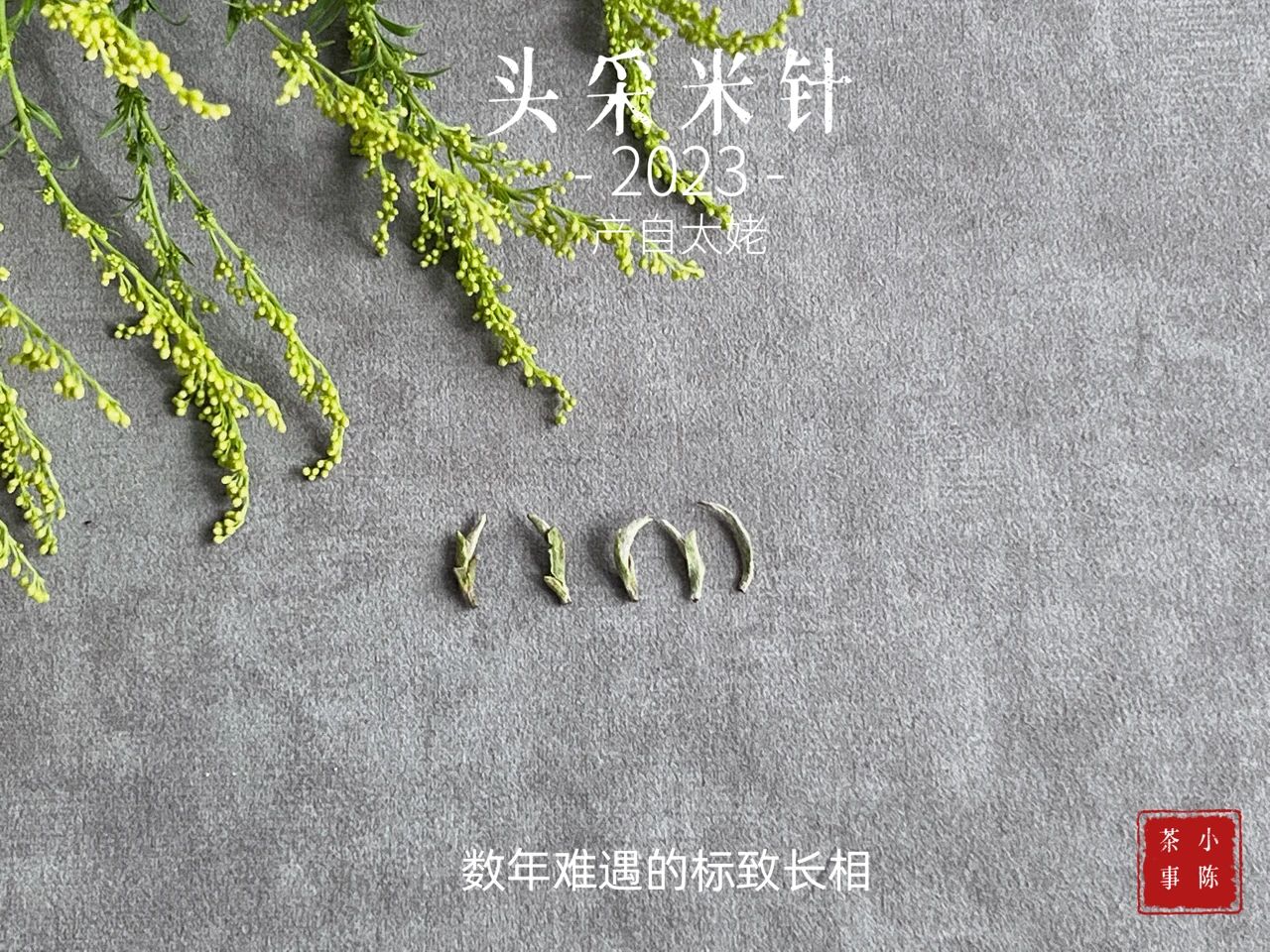 绿茶乌龙茶普洱茶怎么喝才适合,白茶红茶绿茶哪个更好喝一点