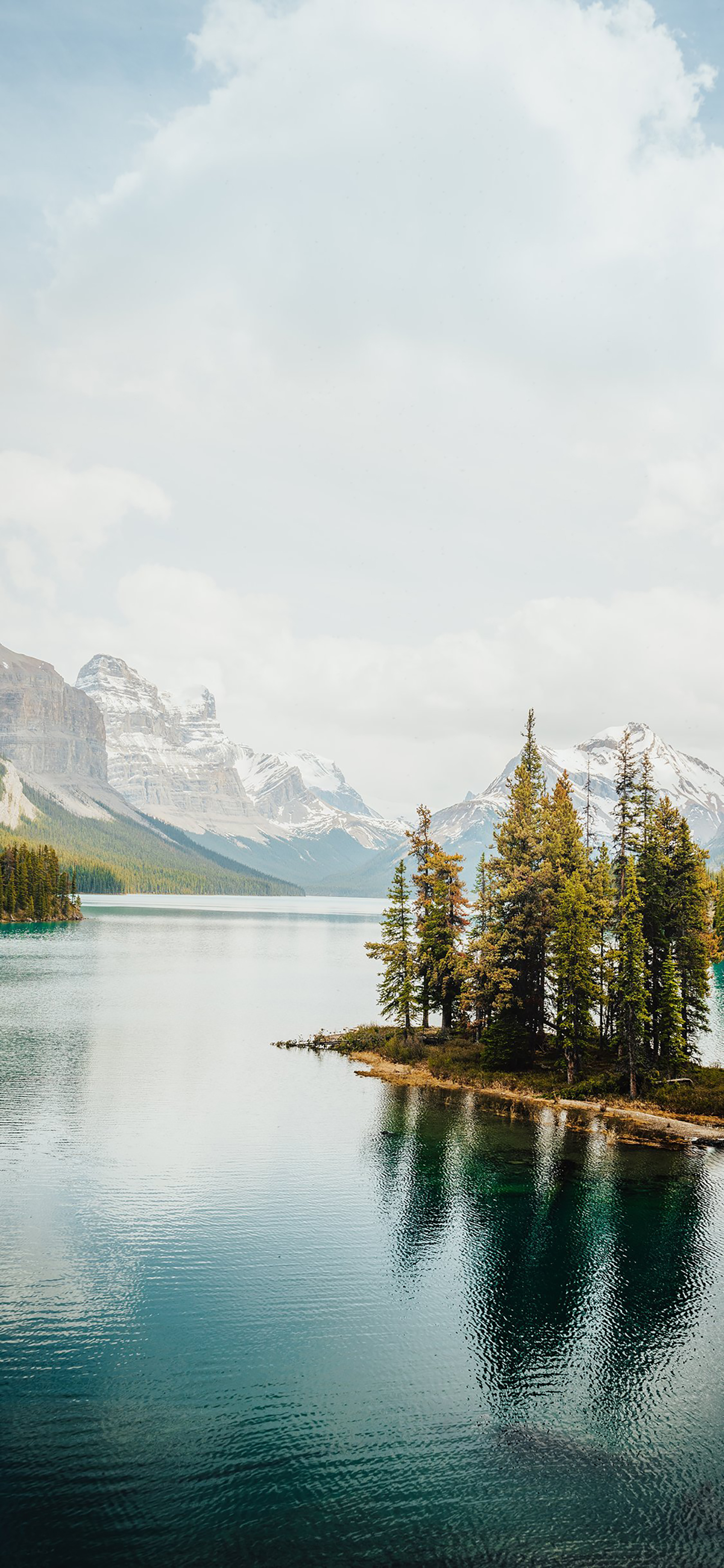 风景壁纸春,春天有百花秋有凉风冬有雪壁纸