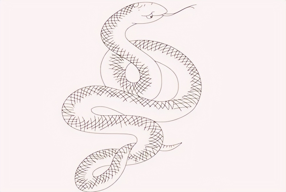 如果你突然被蛇吞下，能否划开蛇肚出逃？科学家作死实验走进蛇窝