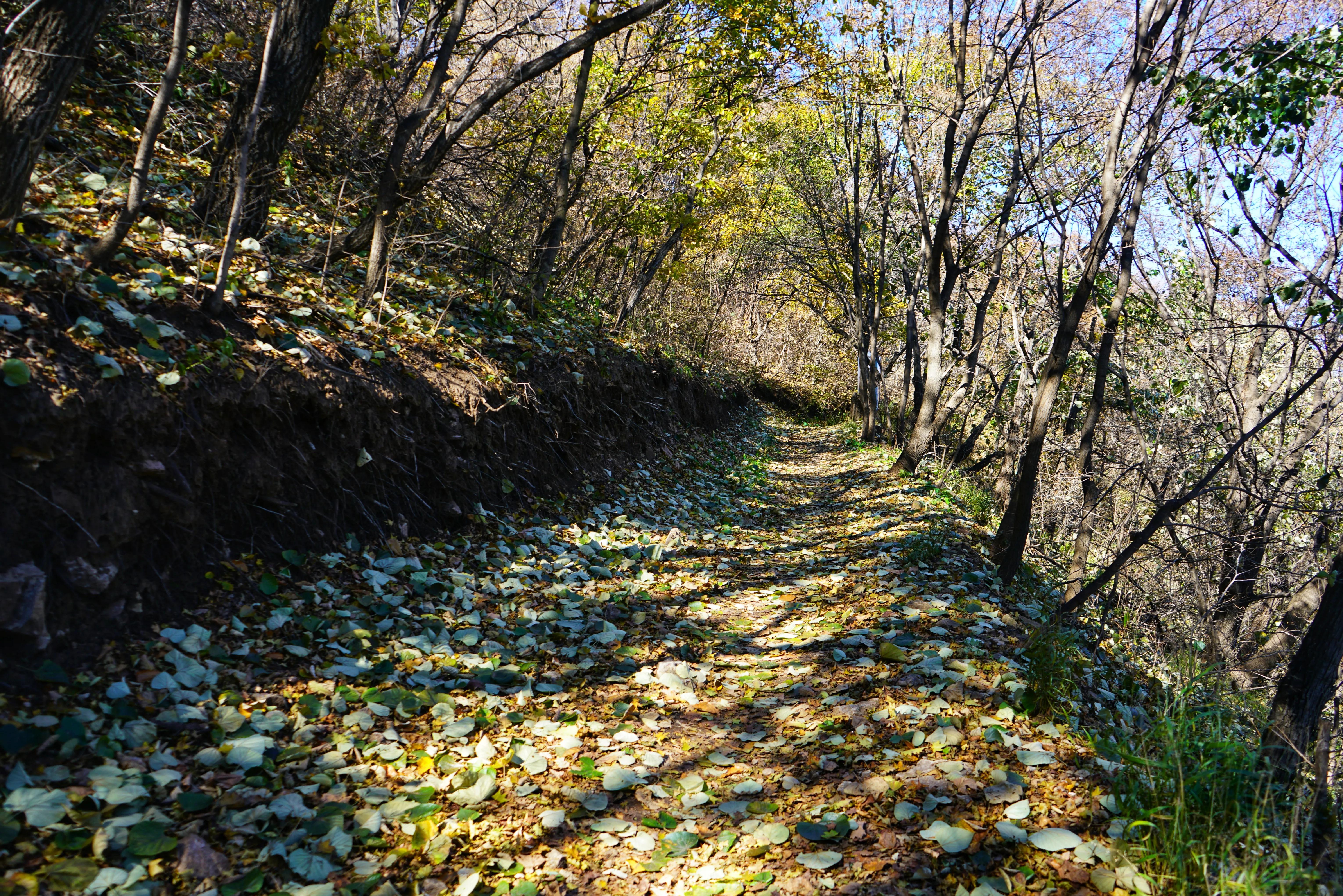 小五台山震撼,小五台山景区最新视频