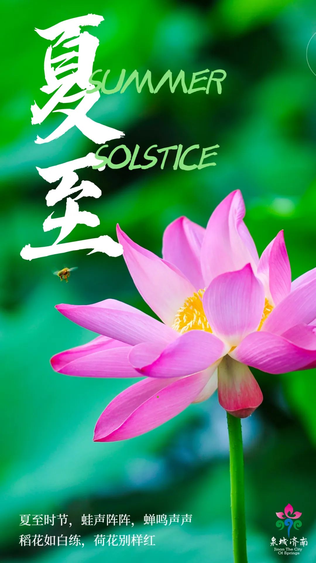 最近济南热门打卡地,济南景区火爆出圈