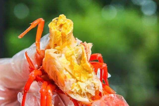 虾头里面黄色的能吃吗,虾头里面是黄的还是屎