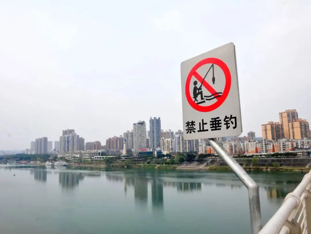 南充垂钓罚款,南充禁渔期关于钓鱼的规定