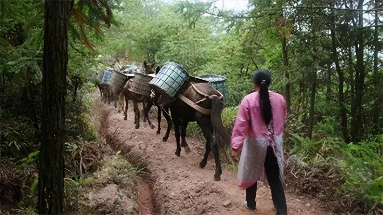山里马帮的真实生活,农村夫妻货车生活真实记录