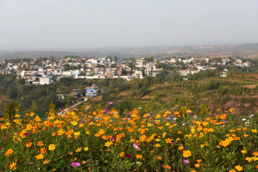 洛阳网红打卡地推荐,洛阳又一个网红打卡地