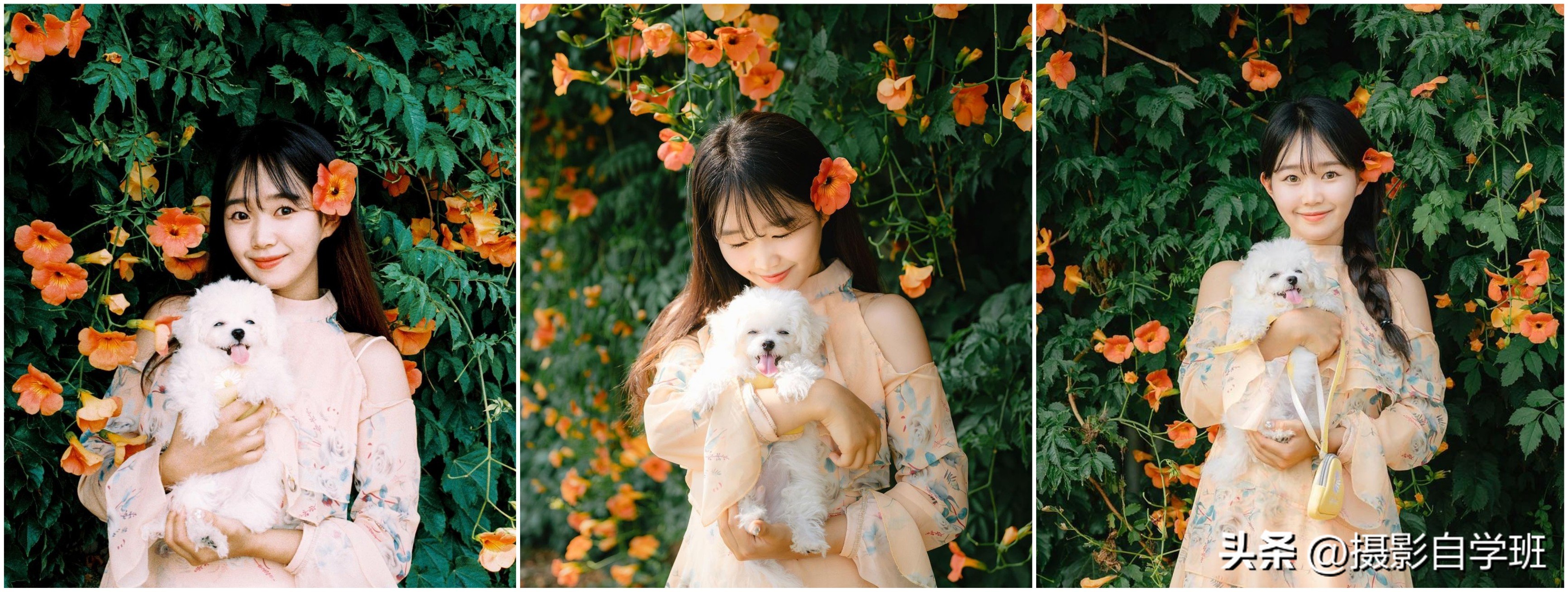 盘点拍照最好看的姿势,很好看的拍照姿势加教程