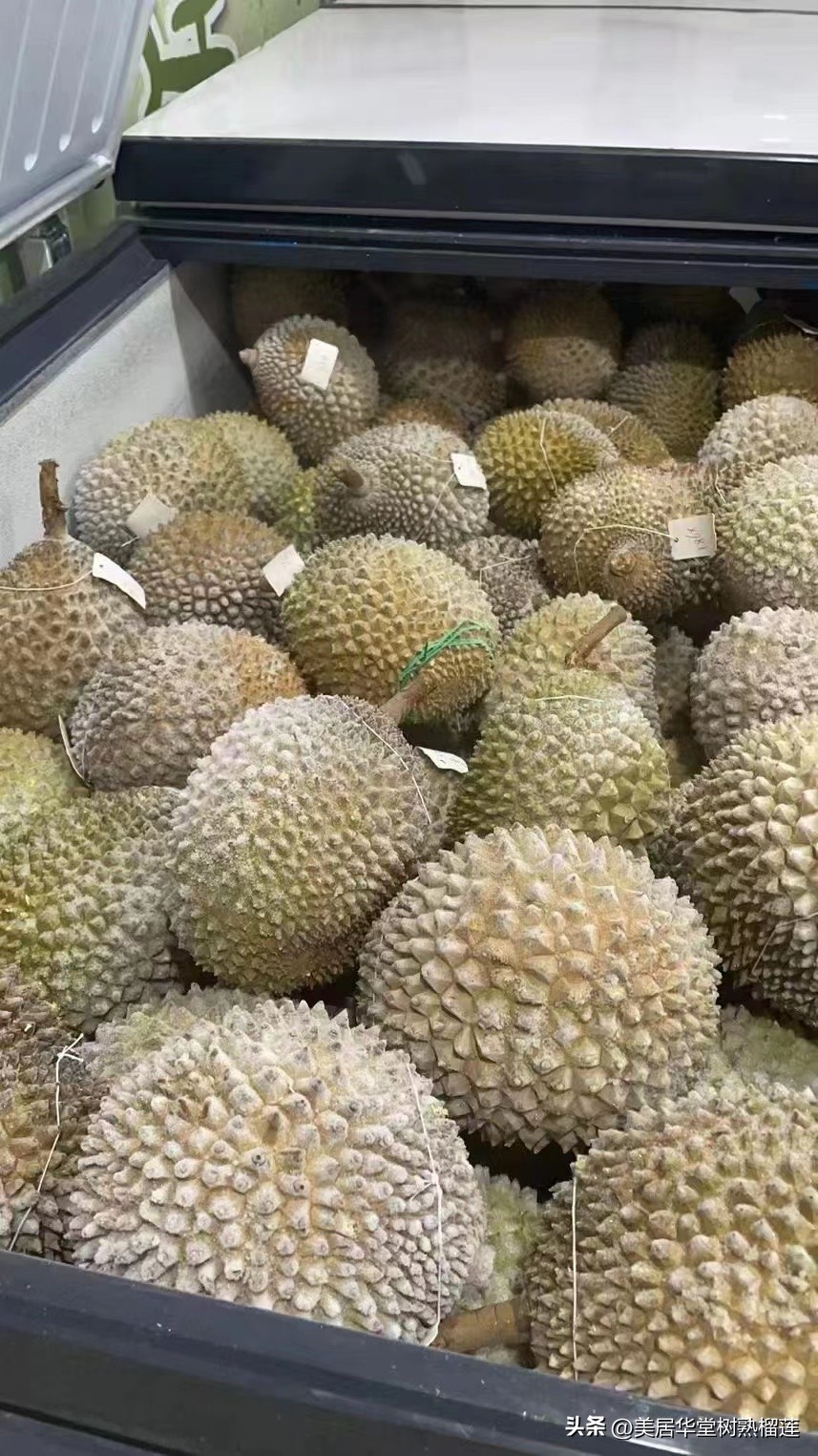 马来西亚猫山王榴莲d101和d197,猫山王榴莲d197和d101的区别