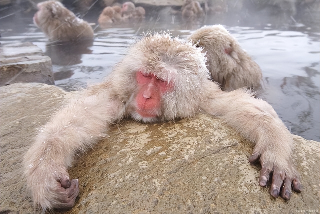 阿尔卑斯山三大北壁,世界地图上有阿尔卑斯山吗