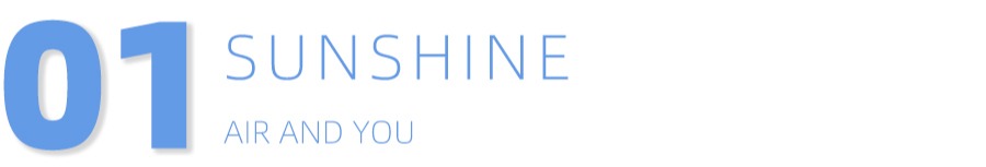 债基十二月,最近几年哪只债基比较好