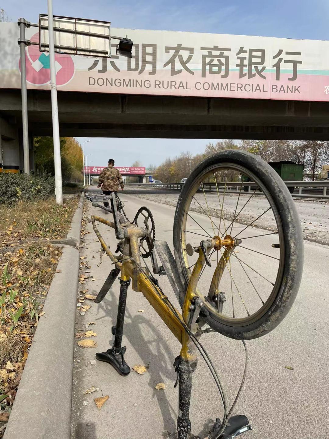 董董骑行山东,懂懂骑山东