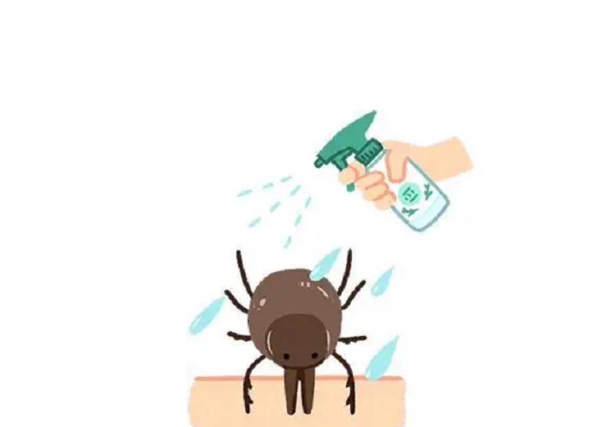 蜱虫会整个钻入身体吗,吸血蜱虫究竟有多可怕