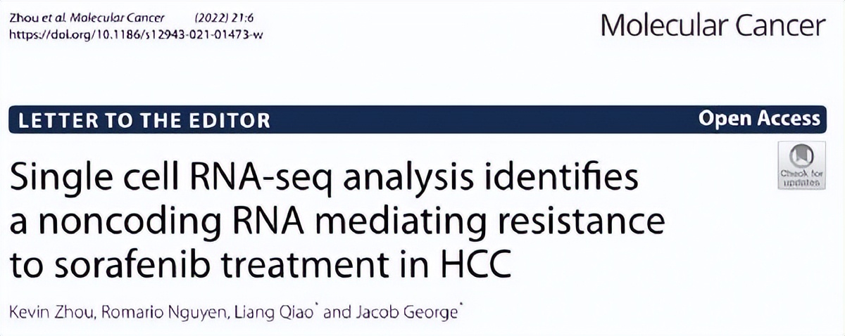 肝炎到肝癌的发展过程,肝癌早期最新研究报告