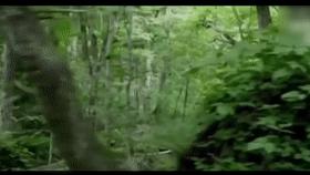 山村十大诡异怪事件,四川大山发现的怪物