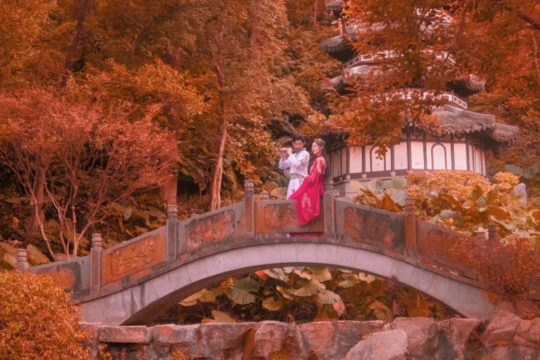 中国5000年来水平最高的20首古诗词,水平最高的中国古诗词40首高清版