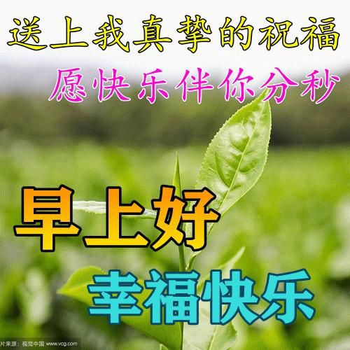 早安问候朋友带字最美图片,4月28日早安问候图片文字