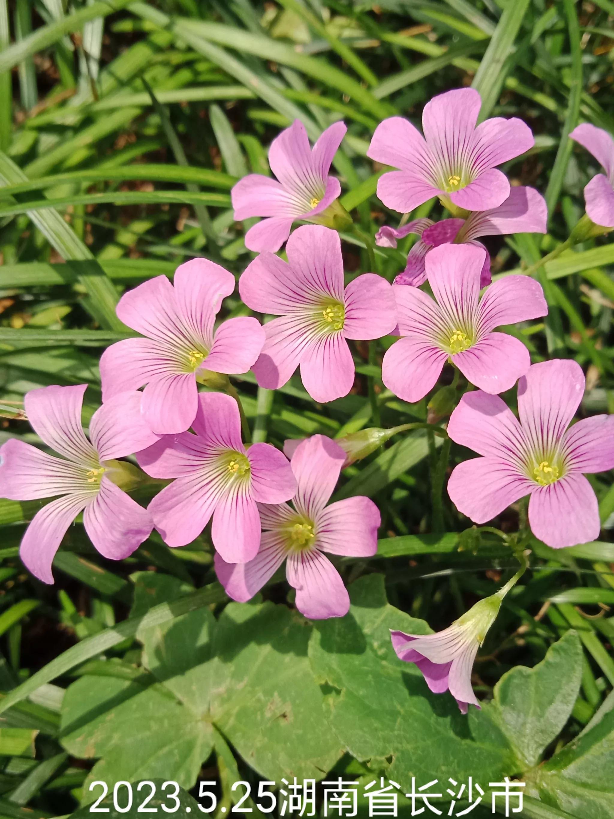 微信群没有保存下来怎么找回来,怎么找回没保存的微信群