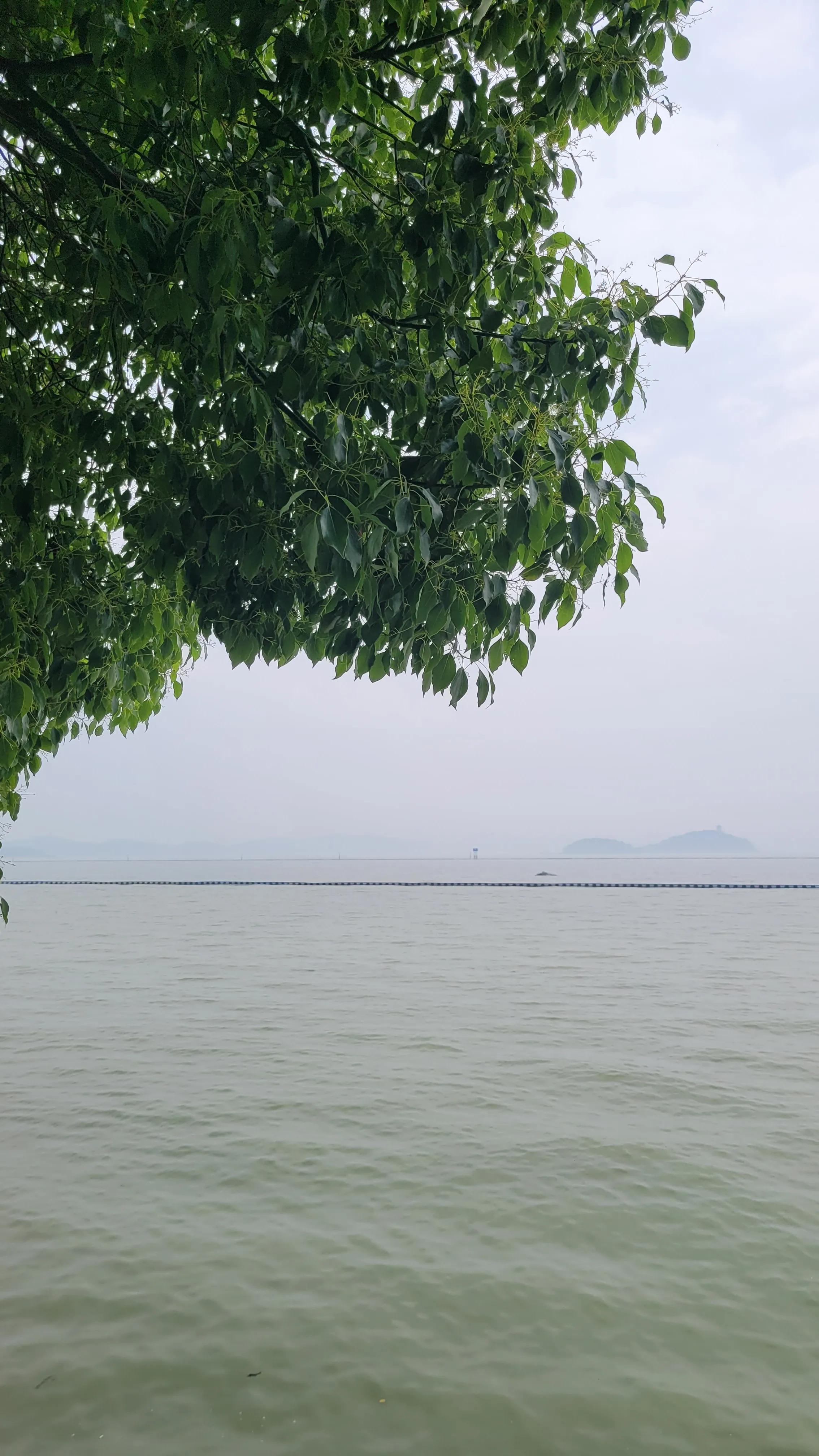 无锡太湖十八湾起点,无锡太湖十八湾在哪