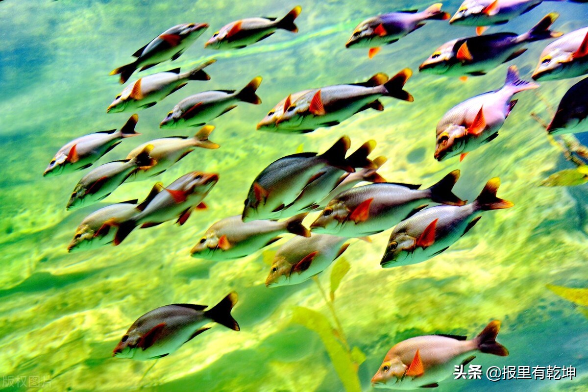 忘己之为大,无私之谓公:向人民日报学拟标题写金句(6.13)