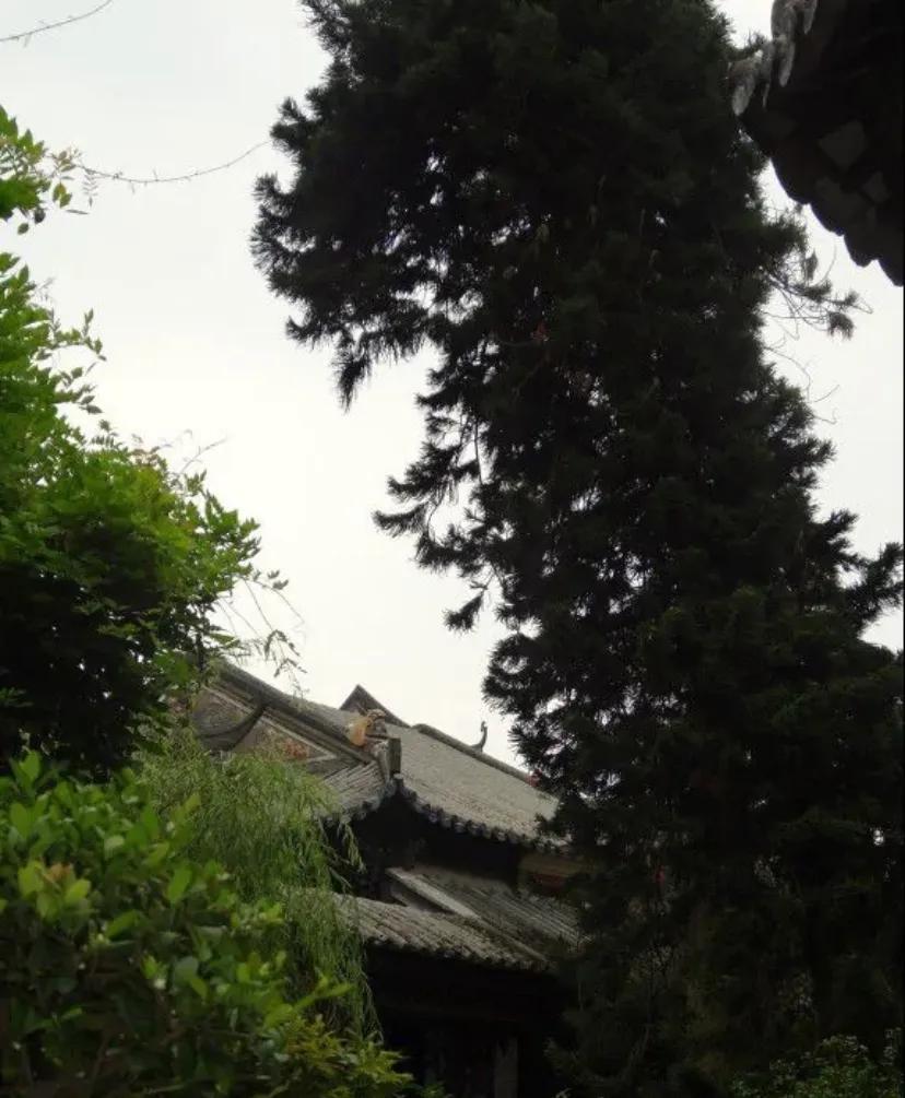 苏州古典园林世界文化遗产介绍,苏州古典园林世界文化遗产