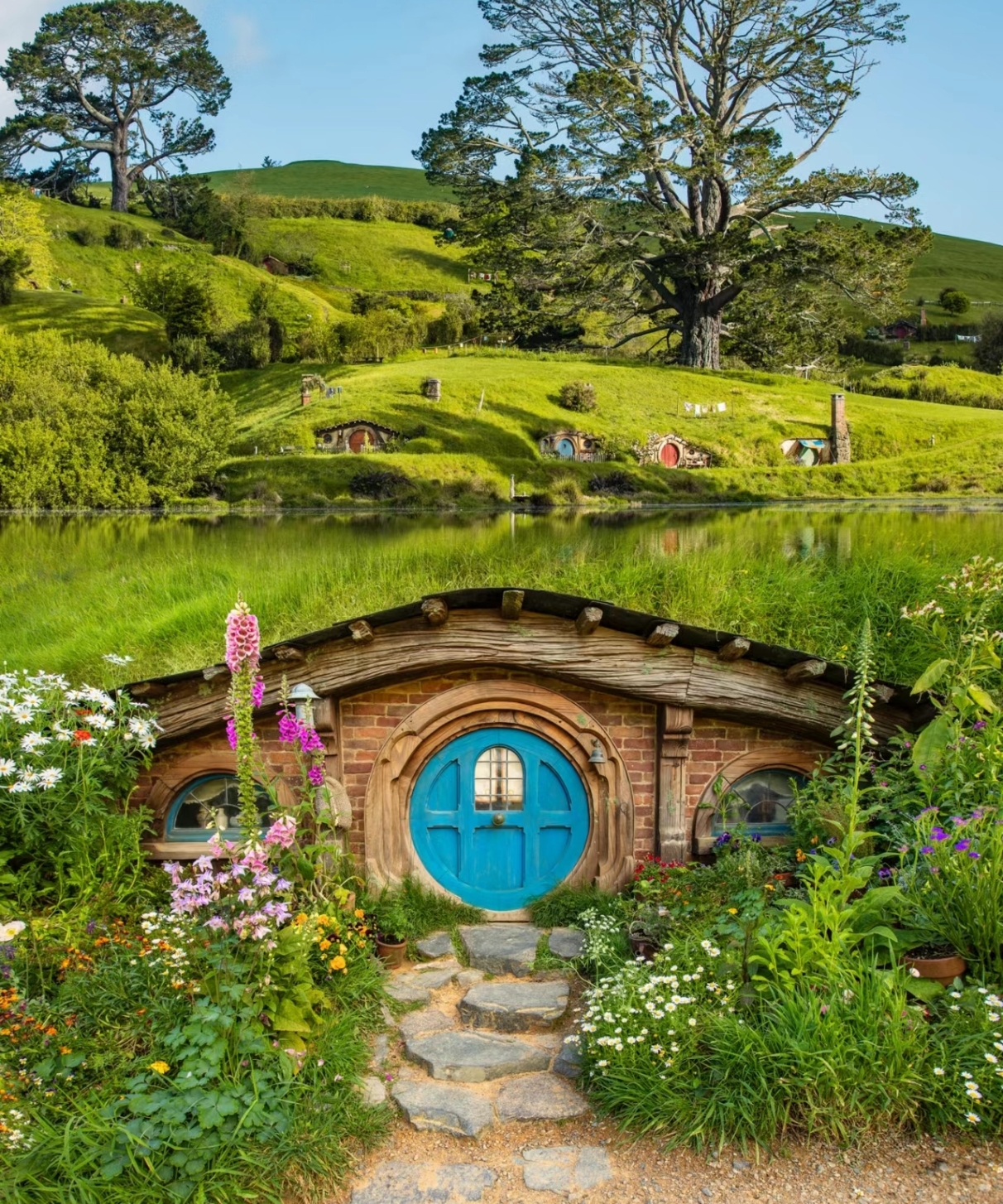 就业方向民航,民航空乘就业