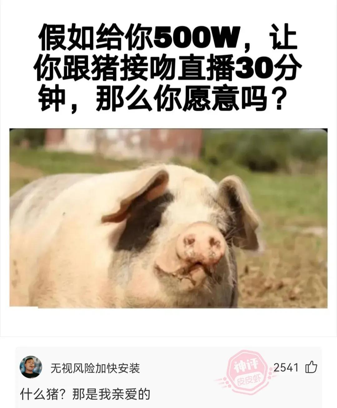 神回复娃哈哈,神回复知乎