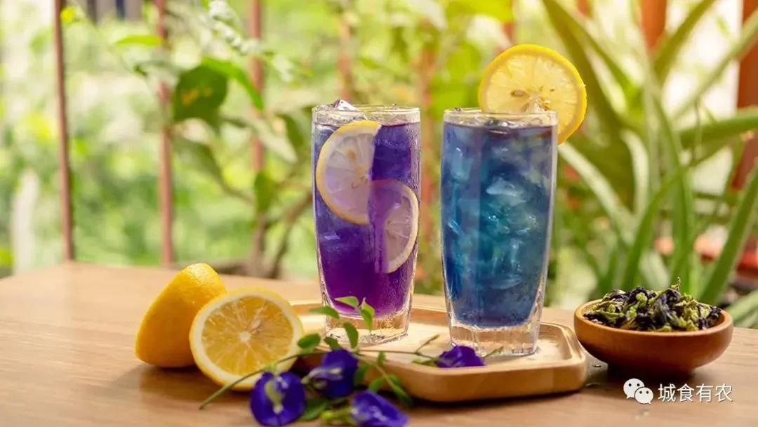 知耕快报｜高GABA基因编辑番茄日本上市；植物工厂种植可可树