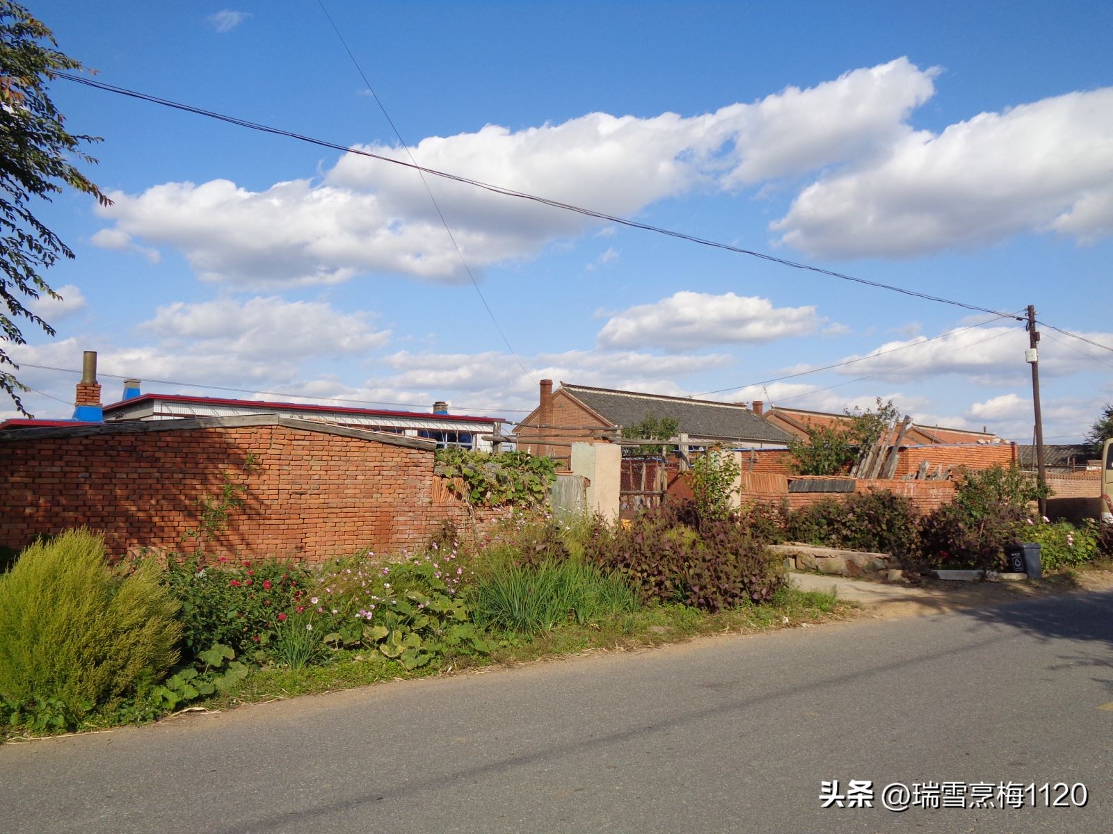 地名档案|旁新线公路沿线村庄之四：沈北新区马刚街道依路村