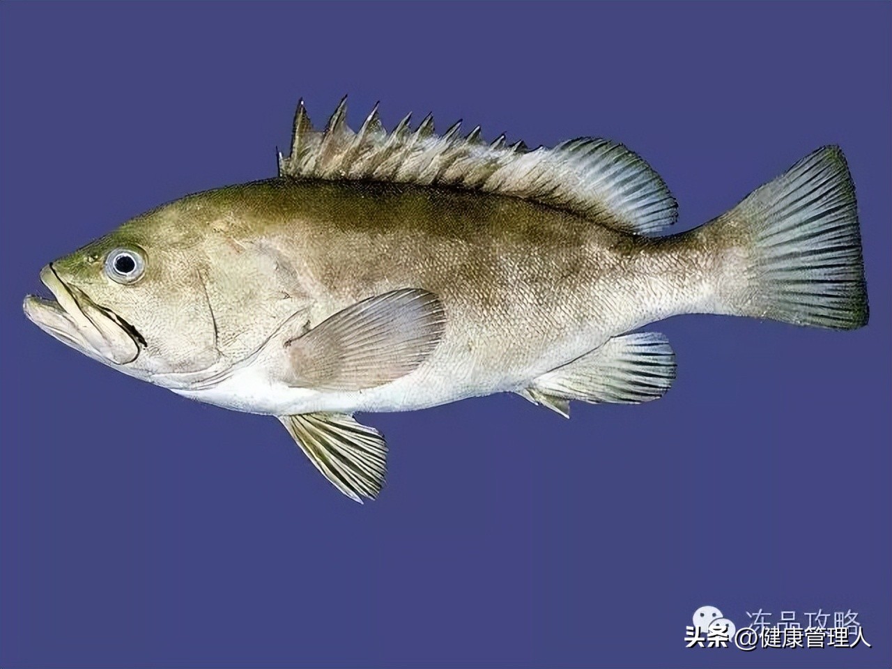 美容护肤食疗方案,美容护肤养生介绍